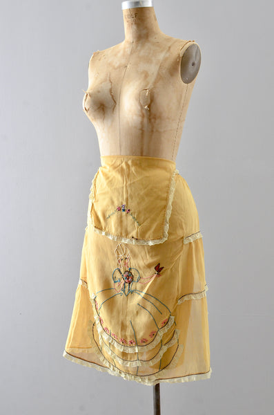 1920s Embroidered Apron